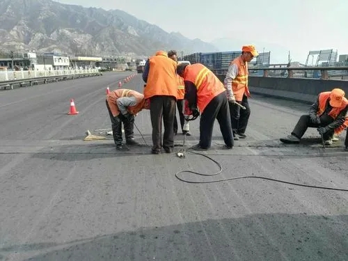 双柏道路桥梁病害治理